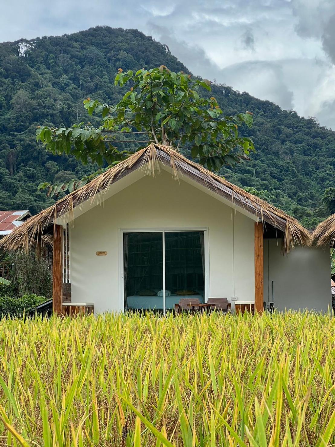 สะปันดีวิว Sapan Dee View บ่อเกลือ น่าน Leilighet Ban Huai Ti Eksteriør bilde